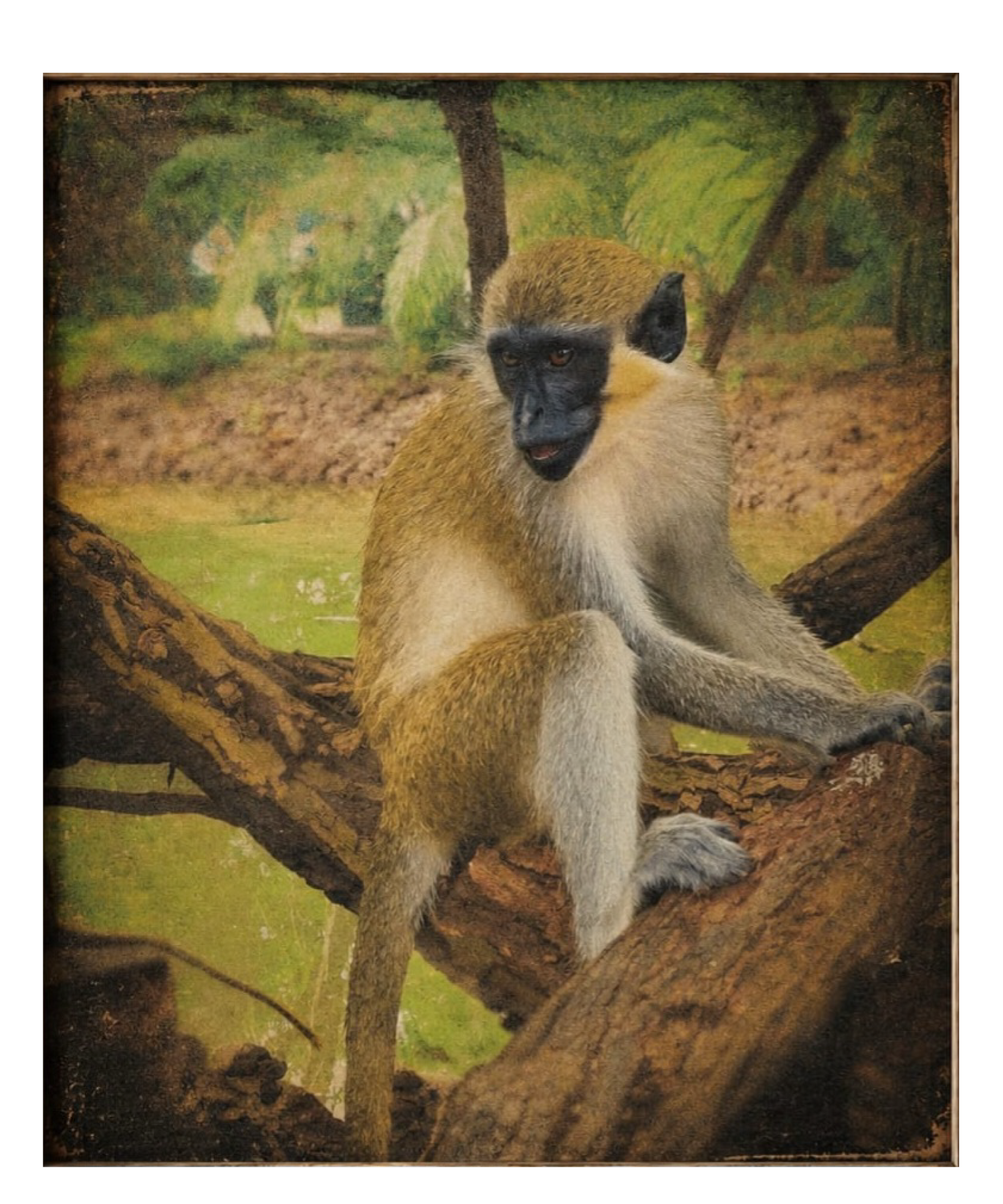 WILDLIFE WALL MURALS